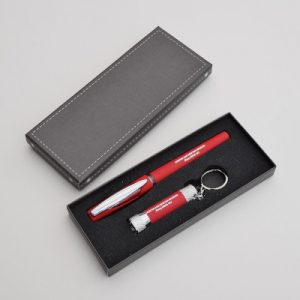 Pen and torch set