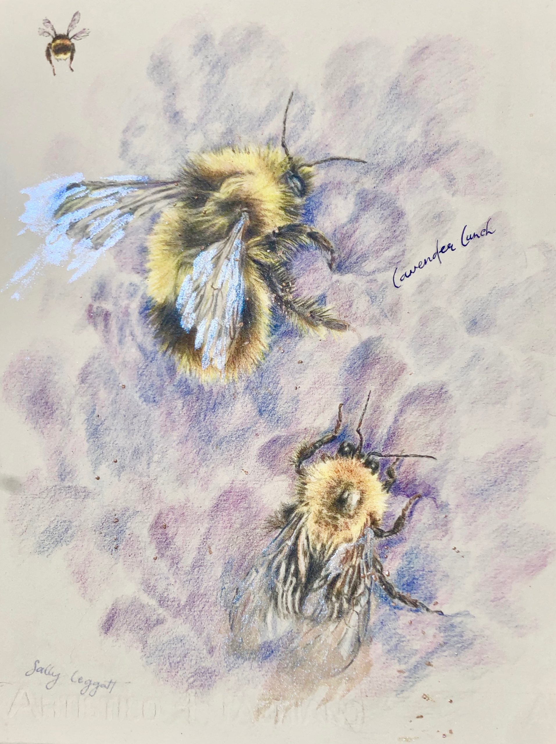 Sally Leggatt - bees